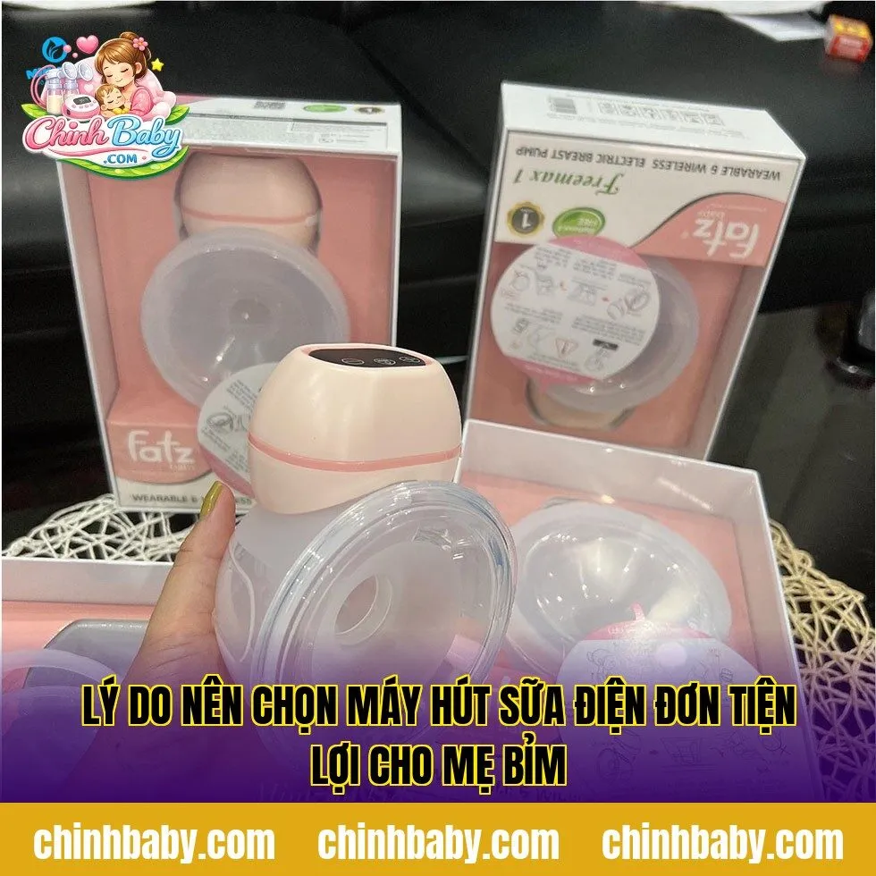 lý do nên chọn máy hút sữa điện đơn tiện lợi cho mẹ bỉm