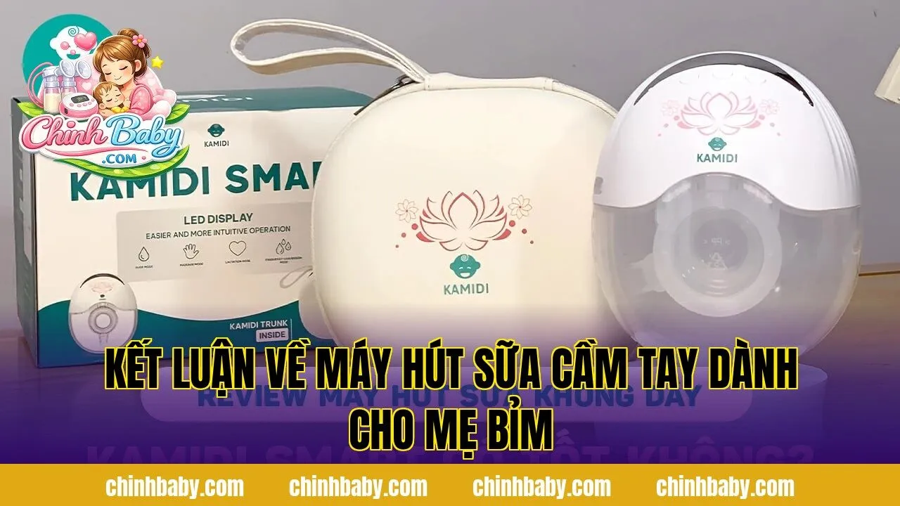 kết luận về máy hút sữa cầm tay dành cho mẹ bỉm