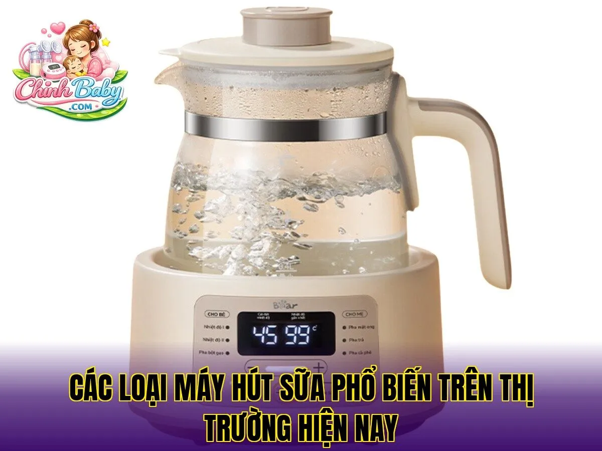 Các loại máy hút sữa phổ biến trên thị trường hiện nay