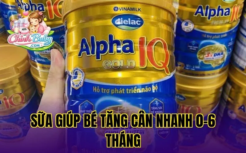 Sữa giúp bé tăng cân nhanh 0-6 tháng